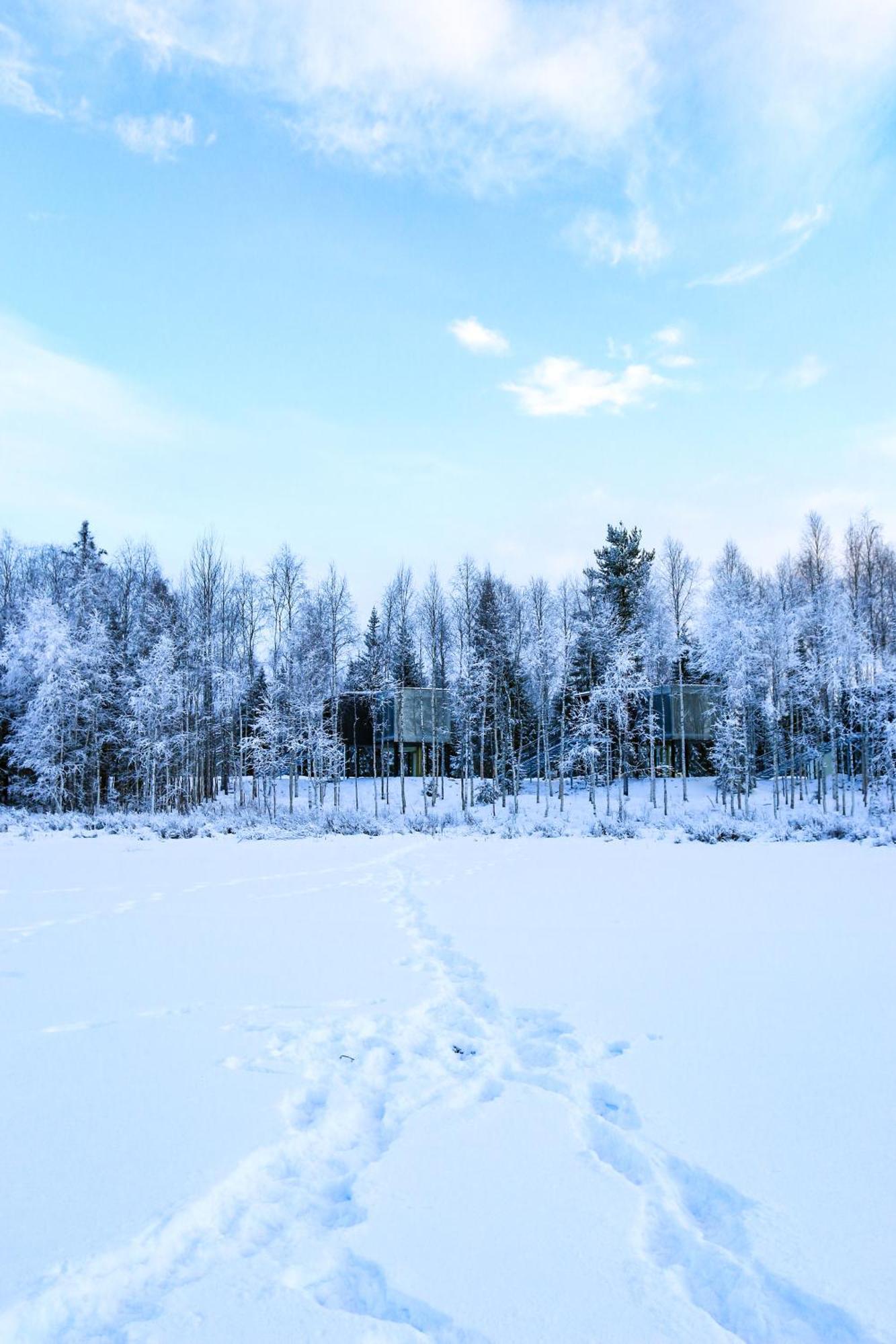 Silver Birch Resort Lapland Rovaniemi Buitenkant foto